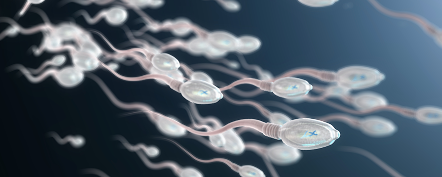 Healthy Sperm for Male Fertility