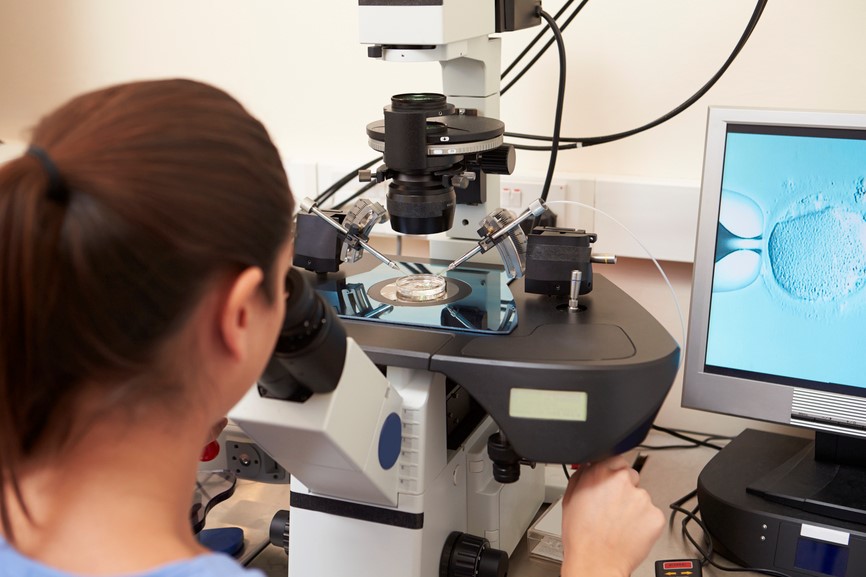 Doctor examining embryos.