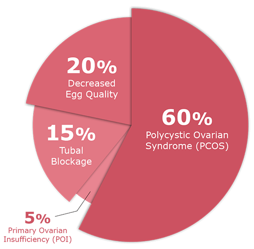 Pie chart of infertility for women causes
