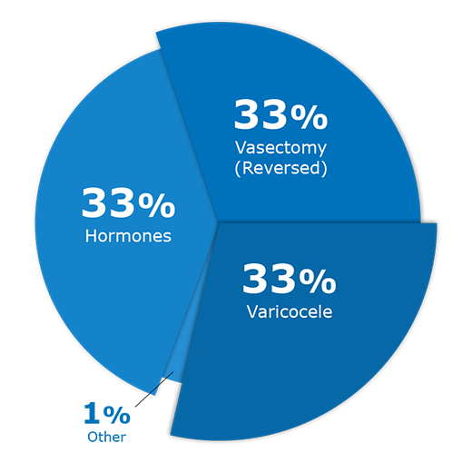 Pie chart of male infertility issues