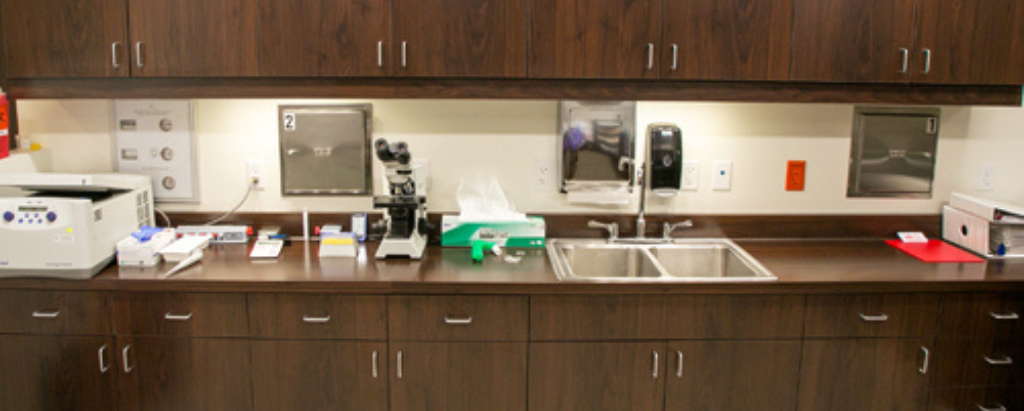 Fertility lab inside Red Rock Fertility Center