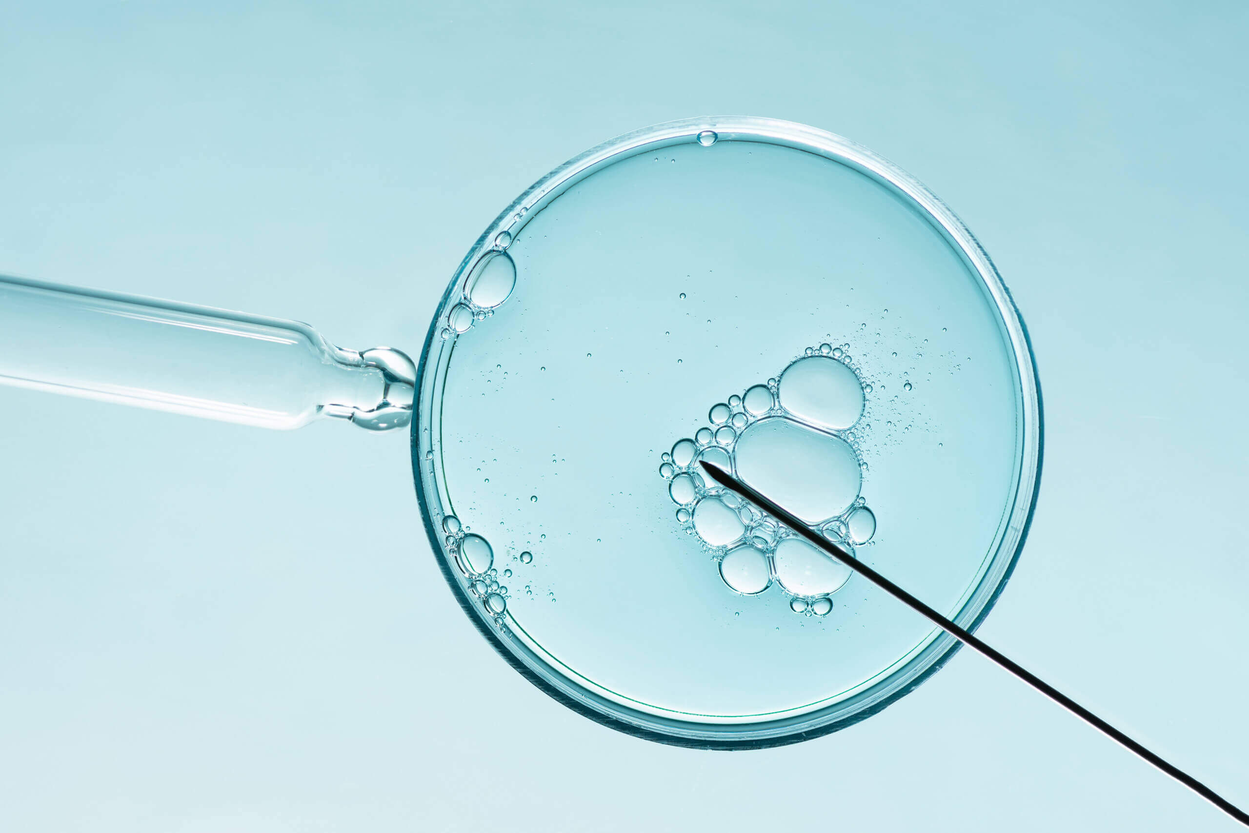 Agulha de fertilização in vitro