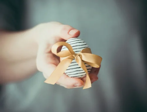 What to Know About the Egg Donor Matching Process