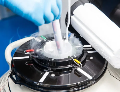 What Is a Frozen Embryo Transfer (FET)?