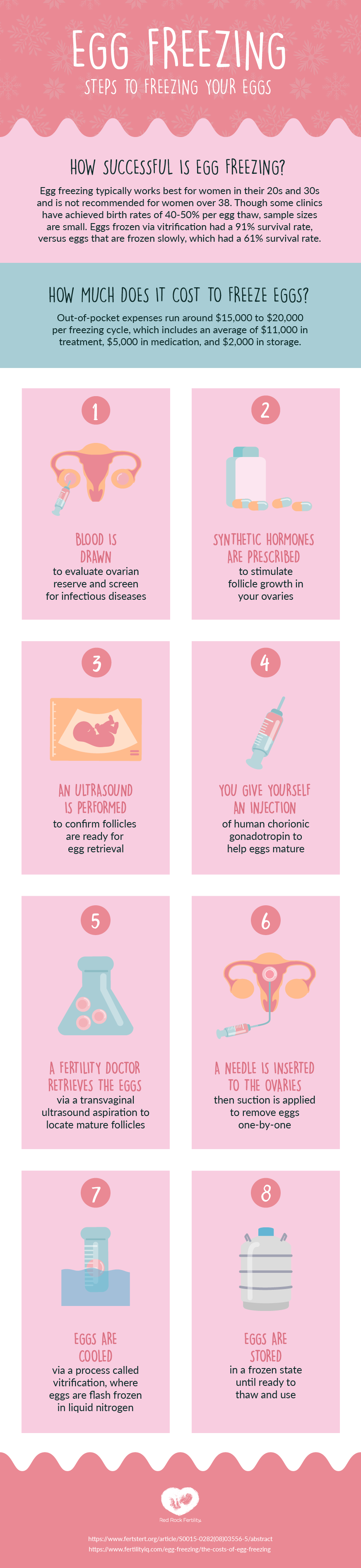 What You Need to Know About Your Ovulation Cycle [Infographic] - Red Rock  Fertility