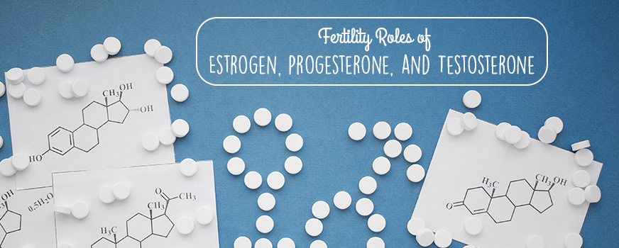 Mga Tungkulin sa Fertility ng Estrogen, Progesterone, at Testosterone Header