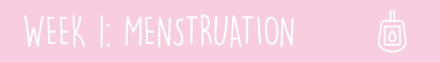 First Trimester Week 1: Menstruation