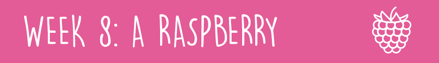 First Trimester Week 8: A raspberry