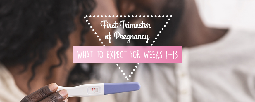 First Trimester of Pregnancy: What to Expect for Weeks 1-13 Header