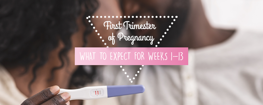 First Trimester of Pregnancy: What to Expect for Weeks 1-13 - Red Rock  Fertility