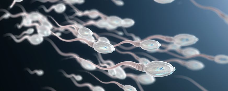 Malusog na Sperm para sa Fertility ng Lalaki