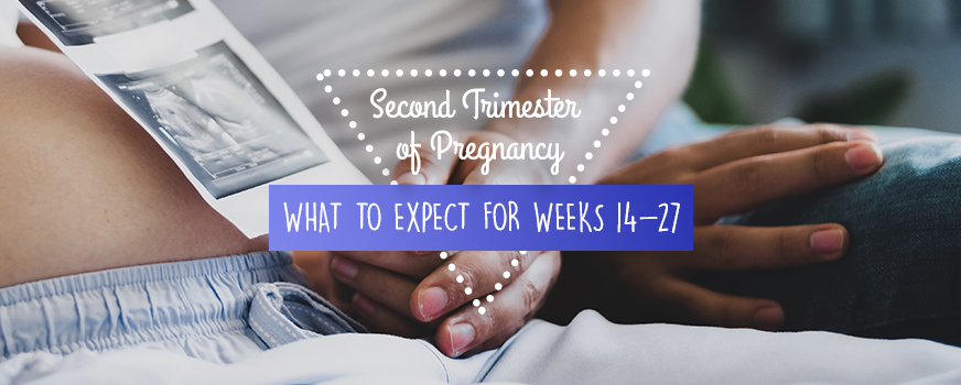 Second Trimester Guide: What to Expect for Weeks 14-27 Header