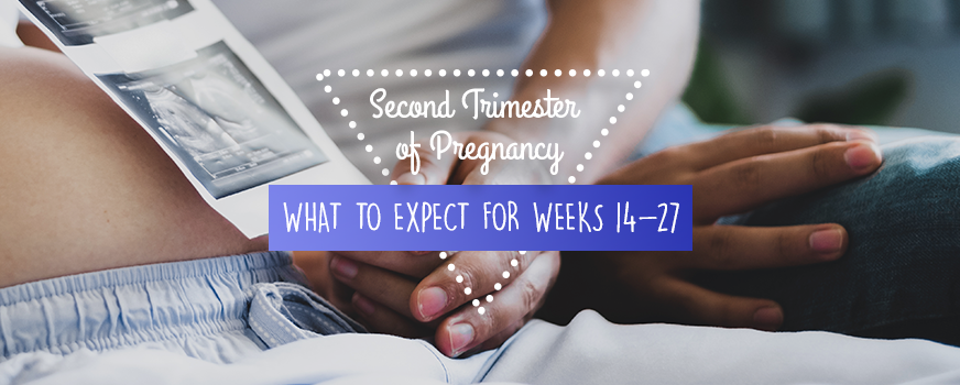 Everything to know about the second trimester of pregnancy