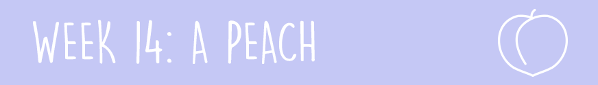 Second Trimester Week 14: A peach