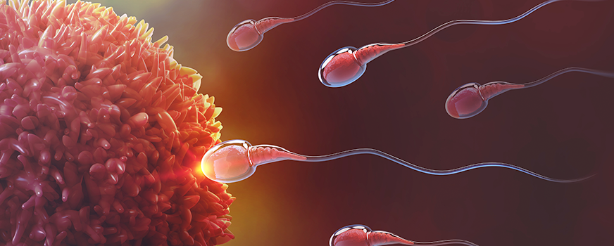 Sperm Count as Signs of Infertility in Men