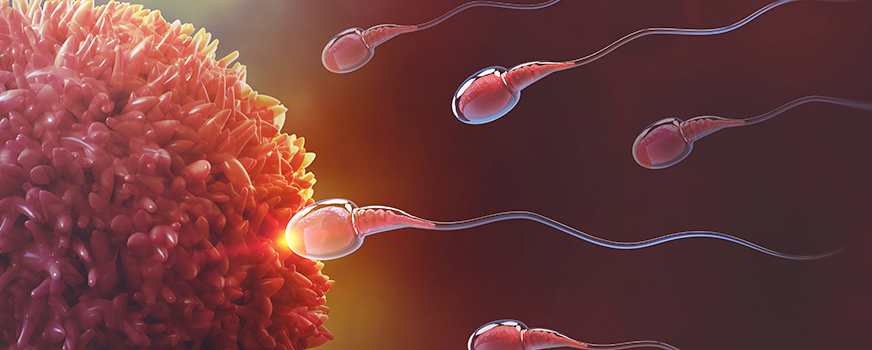 Bilang ng Sperm Bilang Mga Palatandaan ng Infertility sa Mga Lalaki