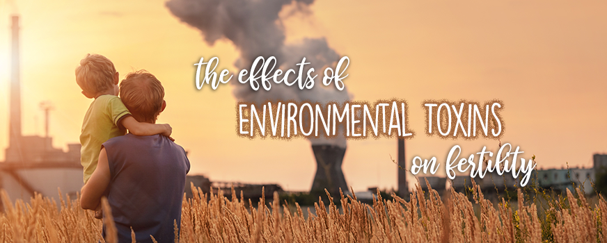 The Effects of Environmental Toxins on Fertility Header