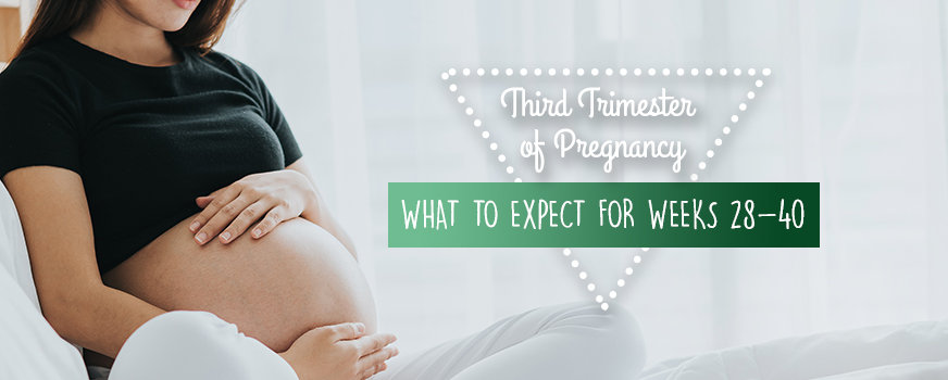 Third Trimester Guide What to Expect for Weeks 28-40 Header