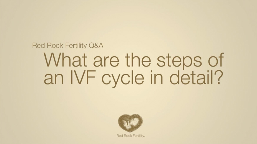 What are the steps of an IVF cycle in detail