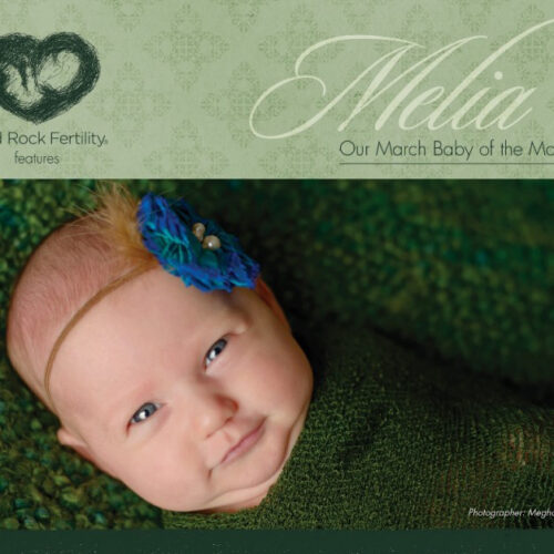 Photo of Melia