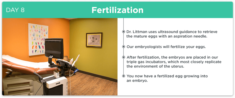 Destination Fertilization Your Las Vegas Fertility Trip Itinerary Infographic Red Rock